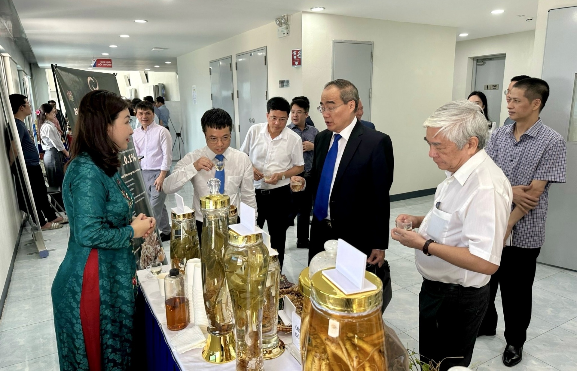 Vietnamese ginseng requires quality standards