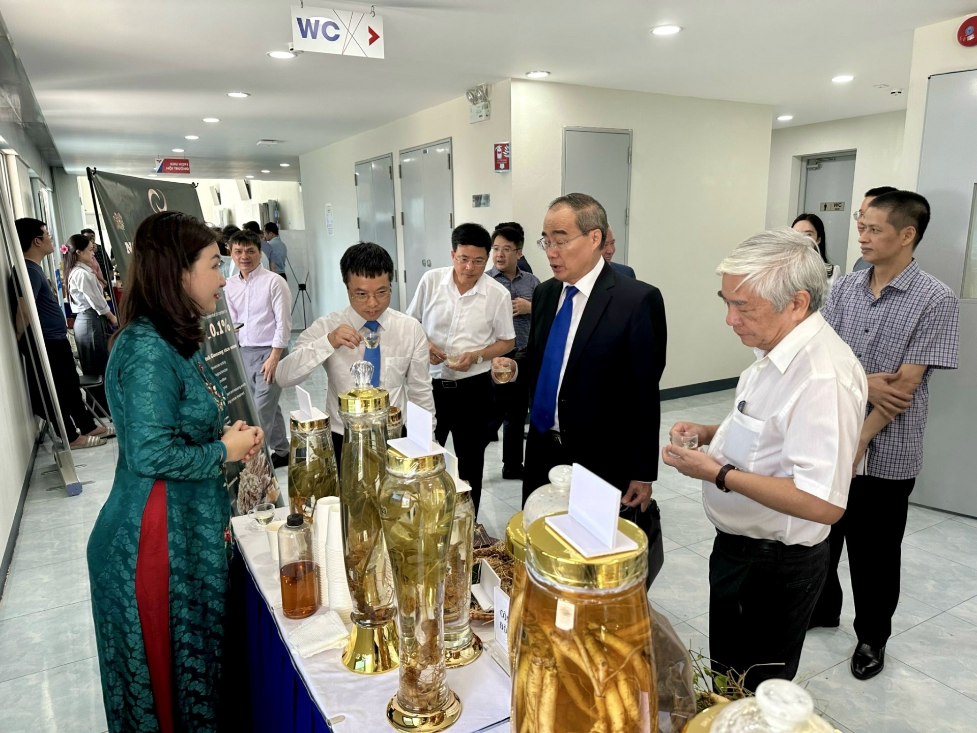 Vietnamese ginseng requires quality standards