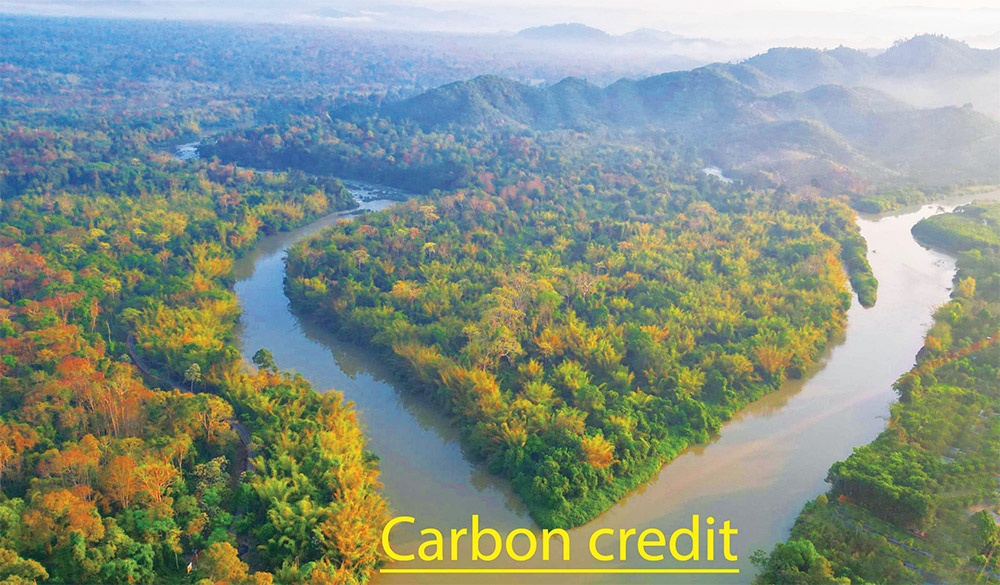 Key components can provide basis for carbon credit market