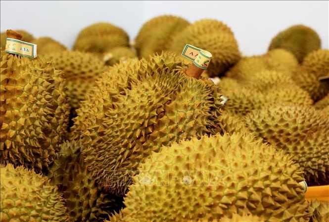 Vietnam aims for $3.5 billion in durian exports in 2024