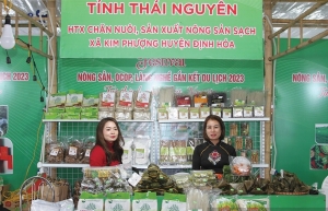 Thai Nguyen gives firm backing for SME development