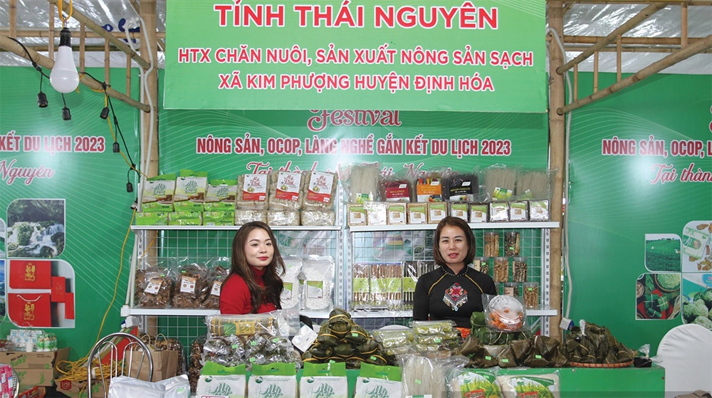 Thai Nguyen gives firm backing for SME development