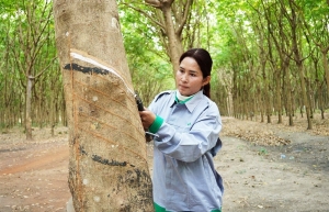 Ties blossom with Laos and Cambodia