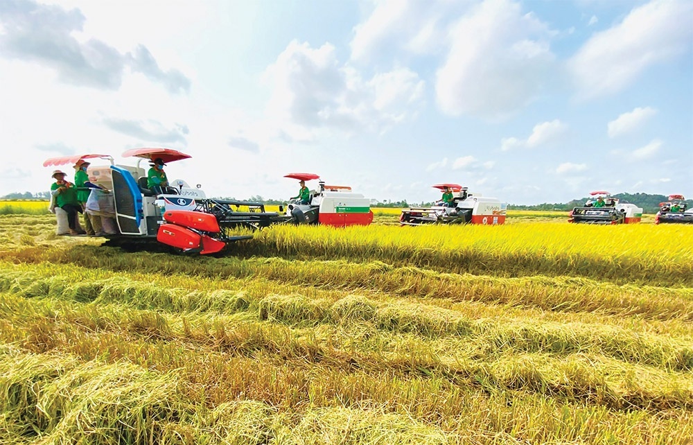 Circular agro-economy taking flight