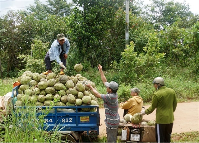 Thailand increases spending on Vietnamese fruit and vegetables
