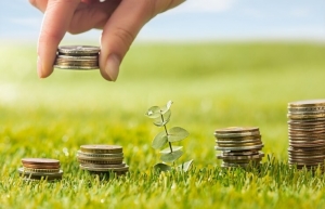 Greater green finance measures can entice investors