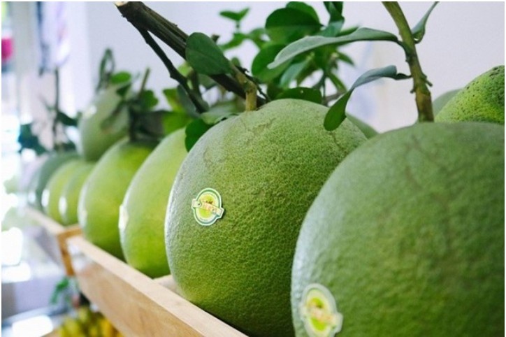 South Korea approves imports of Vietnamese pomelos