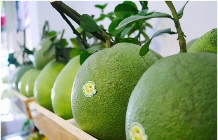 south korea approves imports of vietnamese pomelos