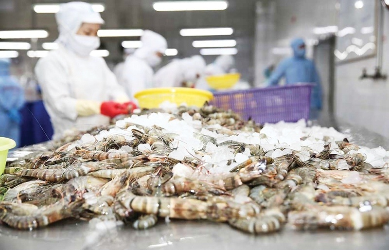 Vietnam ranks among top three global shrimp exporters