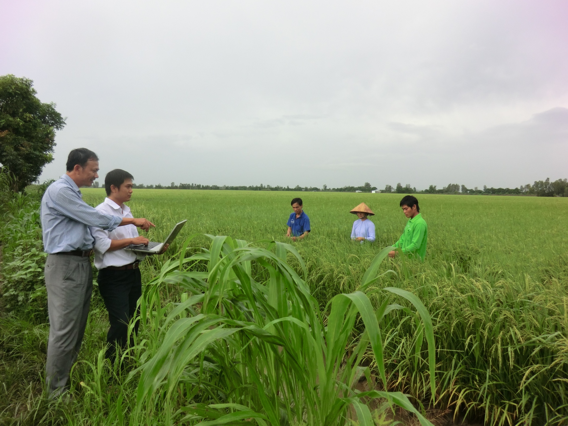 Australian-Vietnamese collaborations secure $1.45 million to advance agricultural innovation