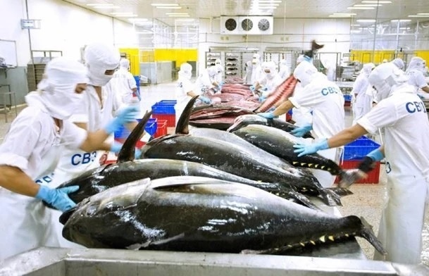 south korea among top 10 importers of vietnamese tuna