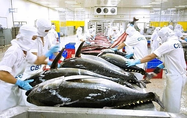 South Korea among top 10 importers of Vietnamese tuna