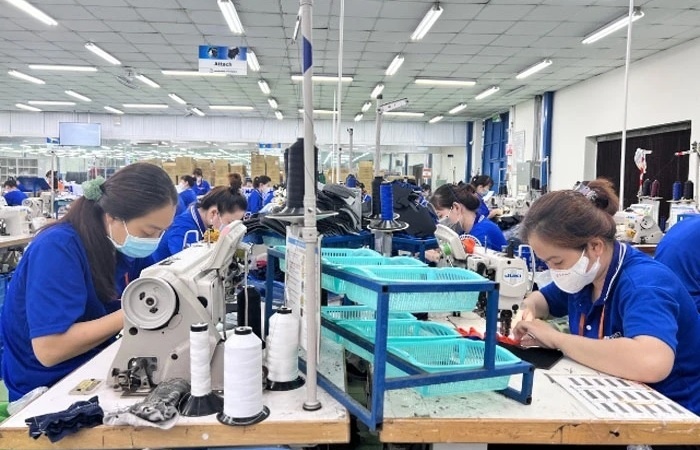 mekong delta urged to strengthen connectivity to attract fdi firms