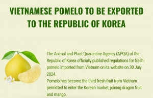 Vietnamese fresh pomelo officially allowed for import into the Republic of Korea