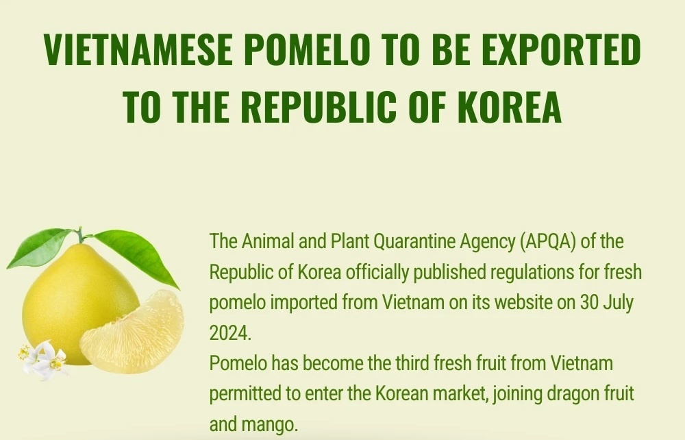 Vietnamese fresh pomelo officially allowed for import into the Republic of Korea