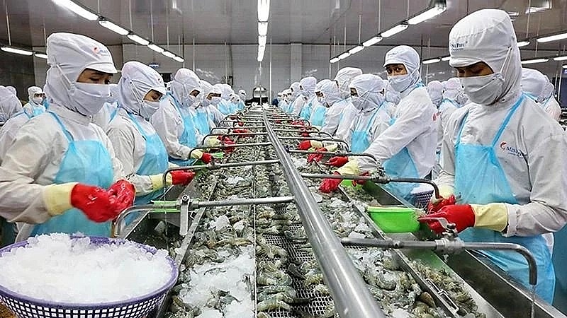 Strategies needed for shrimp sector to meet export target: insiders