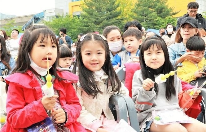 rok holds summer camp for korean vietnamese multicultural families children