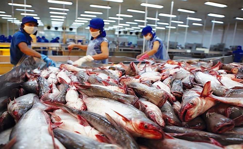 Fish exporters see mixed prospects in H1