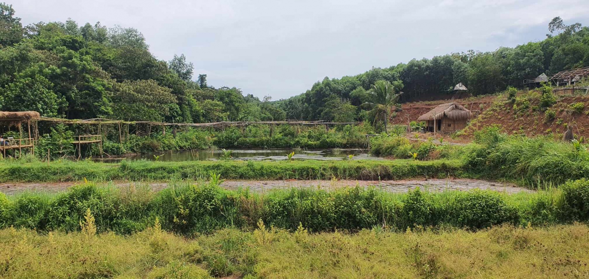 Quang Tri breaks ground on delayed ecotourism project