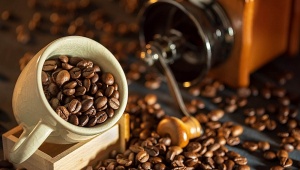 International demand soars for Vietnamese green coffee beans