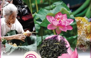 Quang An lotus-scented tea making craft listed among national intangible cultural heritage