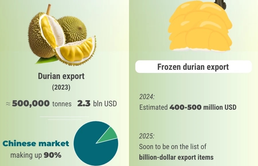 frozen durian cleared for official export to china