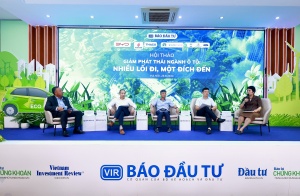 Vietnam formulates policies to promote shift to EVs