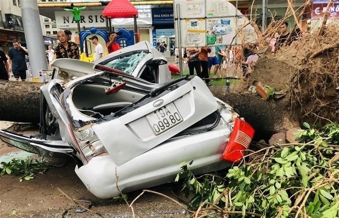 typhoon yagi causes nine deaths urgent recovery efforts underway