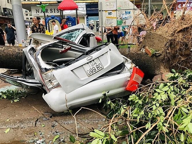 Typhoon Yagi causes nine deaths, urgent recovery efforts underway