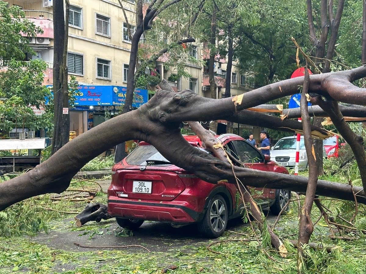 insurers address claims following typhoon yagi