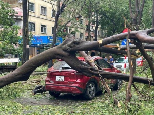 Insurers address claims following typhoon Yagi