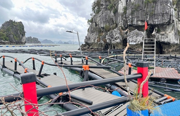 climate change and natural disasters threaten aquaculture industry