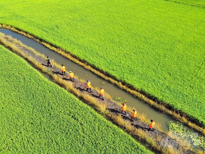 Convergence awards grant to support regenerative agriculture in Lower Mekong