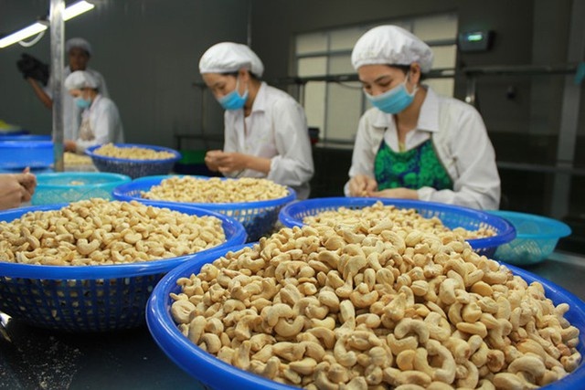 Vietnam has spent over $1 billion on cashew nuts from Cambodia in 2024