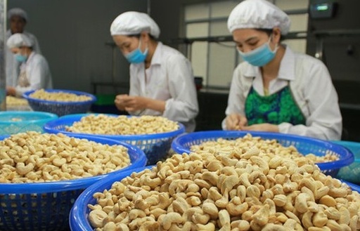 vietnam has spent over 1 billion on cashew nuts from cambodia in 2024