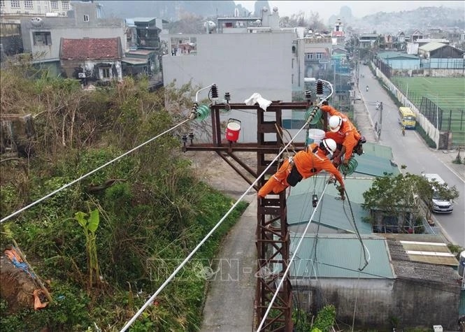 New Zealand pledges 1 million NZD in typhoon aid for Vietnam