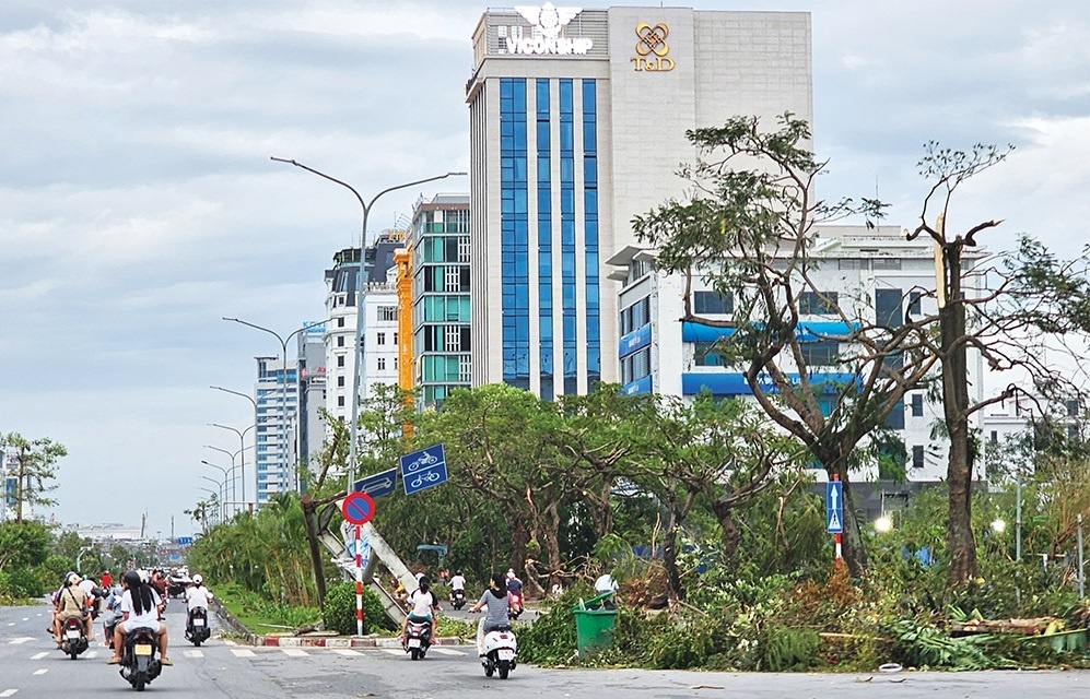 Haiphong picks itself up after typhoon