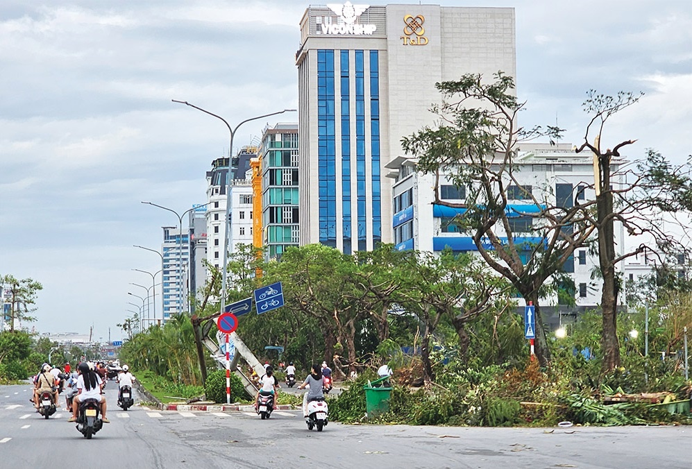 Haiphong picks itself up after typhoon