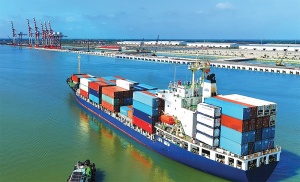 Vietnam must take advantage of green logistics potential