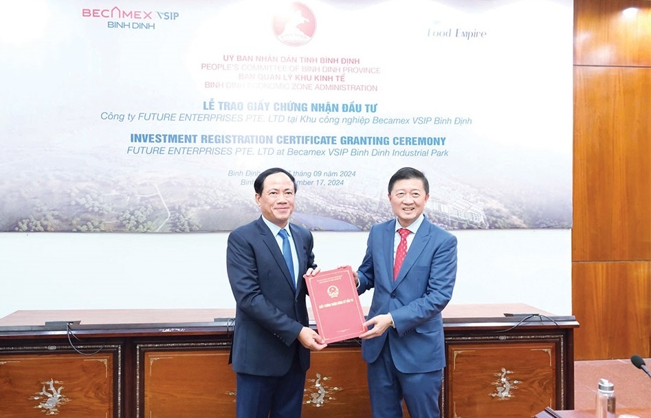 Binh Dinh: a bright spot in attracting investment