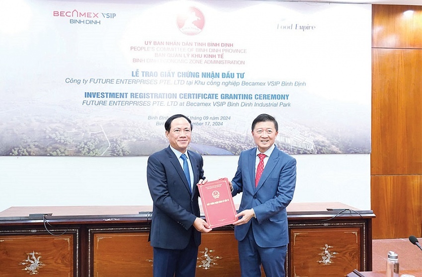 Binh Dinh: a bright spot in attracting investment