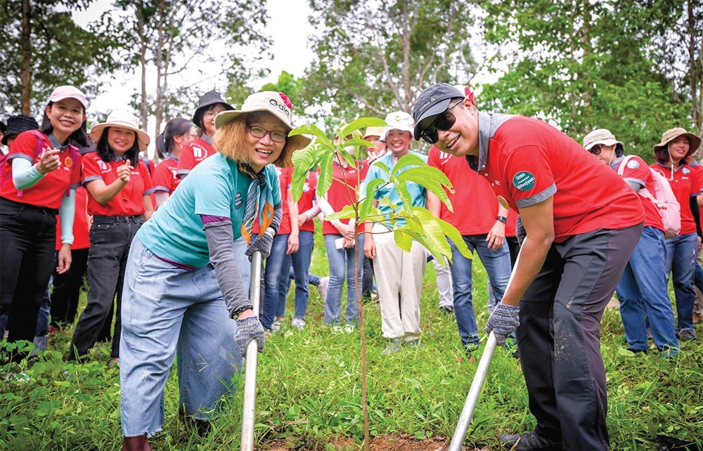 Call to action can protect Vietnam’s natural forests