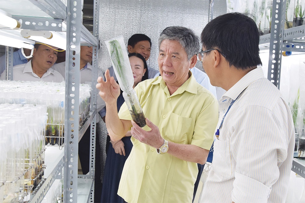 Tra Vinh takes on high-tech agriculture