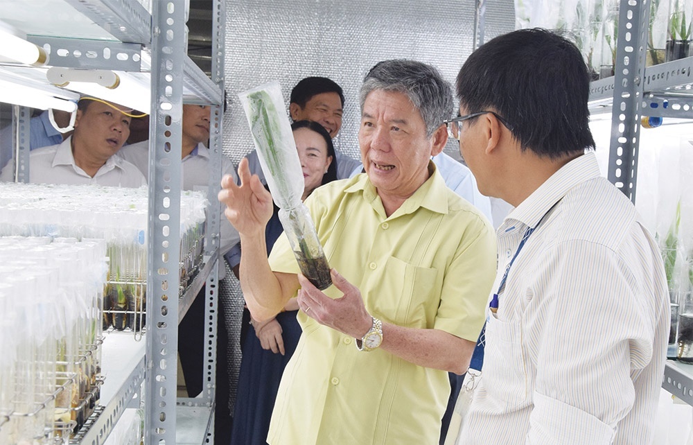 Tra Vinh takes on high-tech agriculture