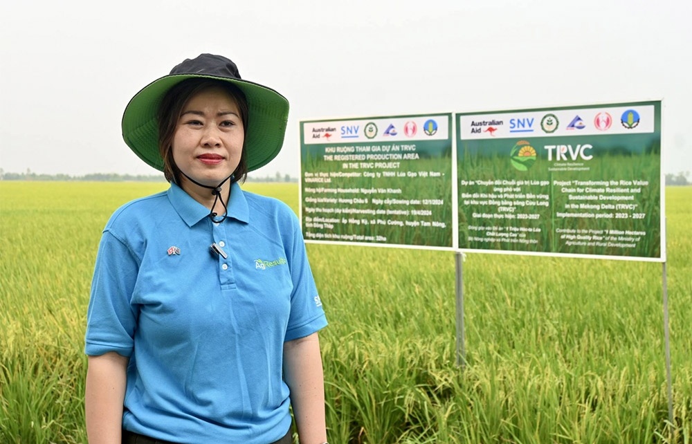 A rice value chain that can address climate change