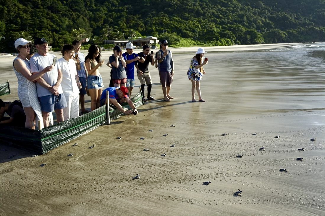 Con Dao leads the way in circular tourism