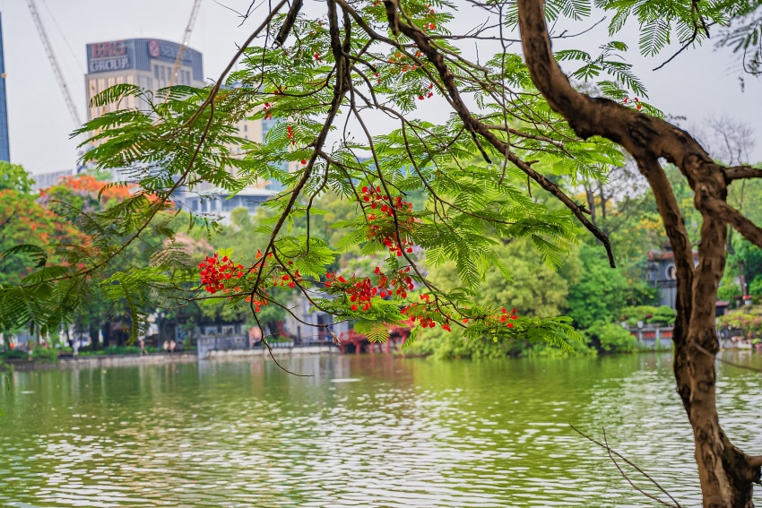 Hanoi sets dual path through green and digital transformation