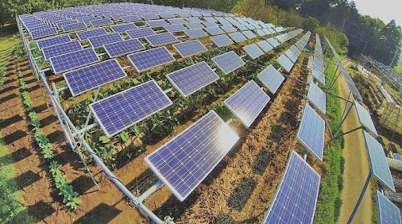 Coro's solar projects in Vietnam gain traction