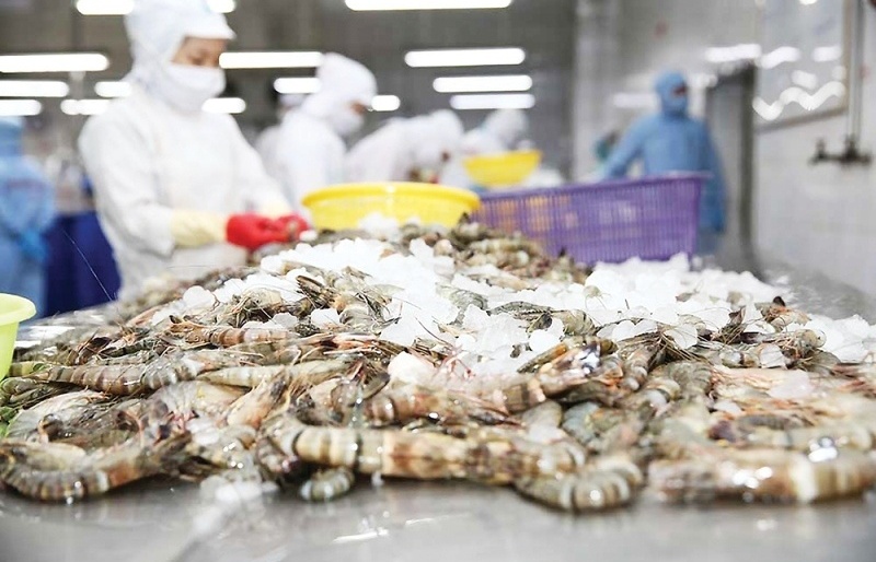 Vietnam seafood exports set to exceed targets