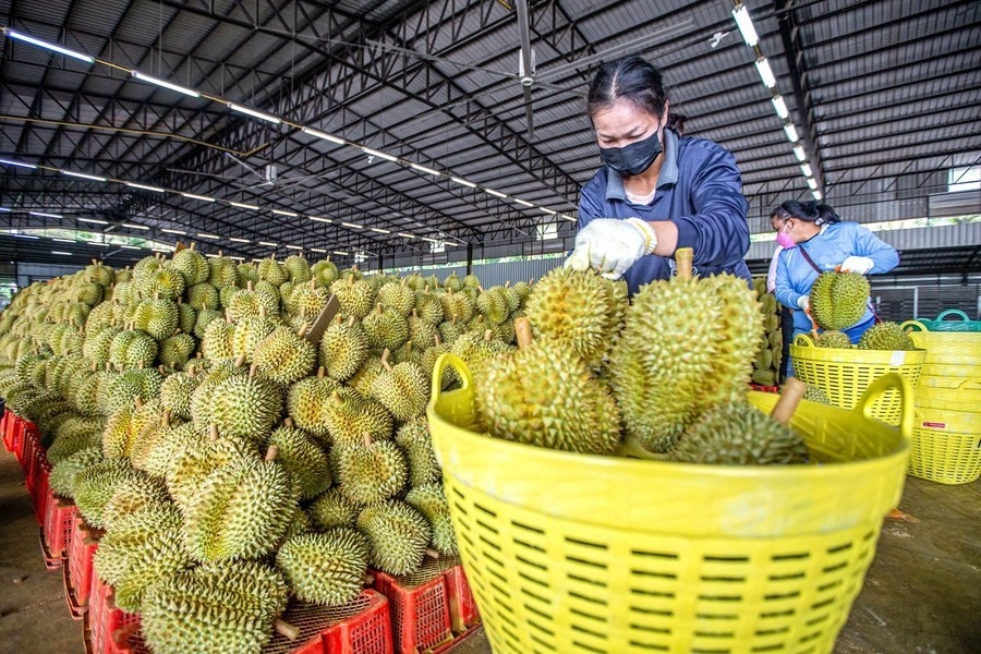 Vietnamese agricultural goods make Chinese e-commerce debut